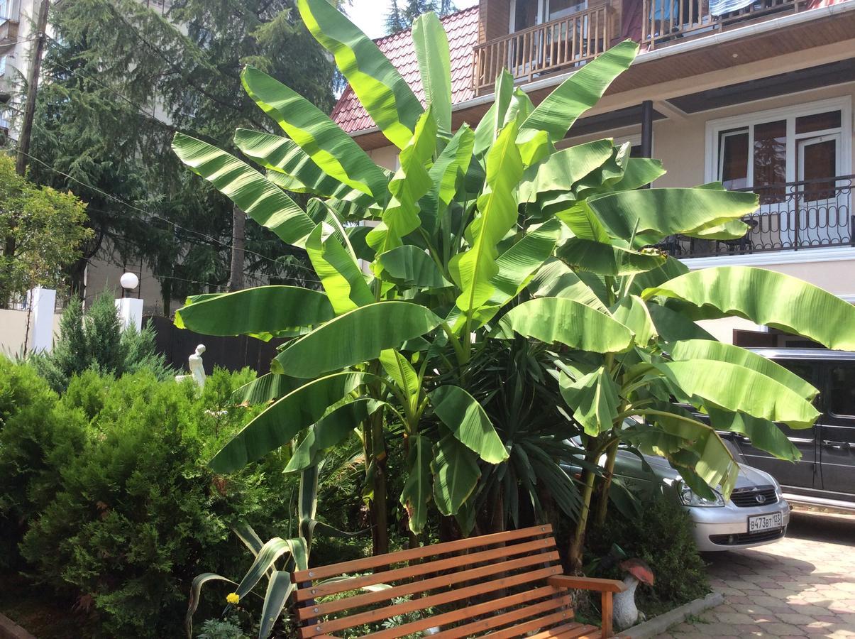 Guest House Milana Sukhumi Exterior photo